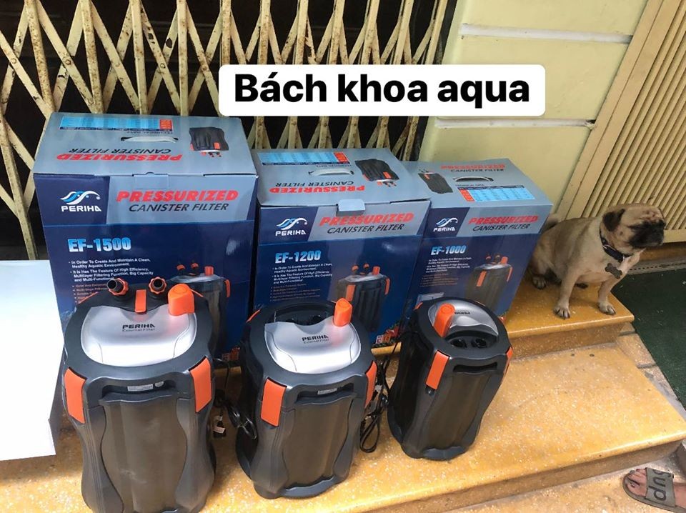Lọc ngoài Periha EF 800-1000-1200-1500
